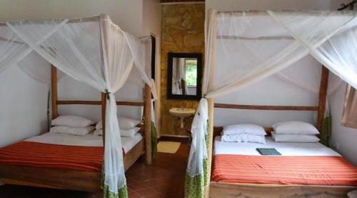 Honey Badger Lodge, Safaris and Mountain Climbing