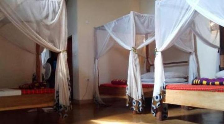 Honey Badger Lodge, Safaris and Mountain Climbing