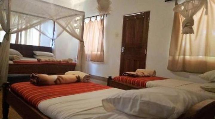 Honey Badger Lodge, Safaris and Mountain Climbing