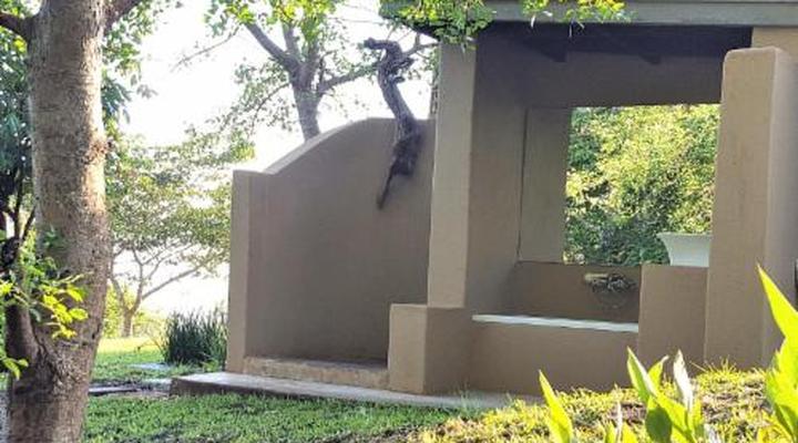 Wide Horizons Mountain Retreat