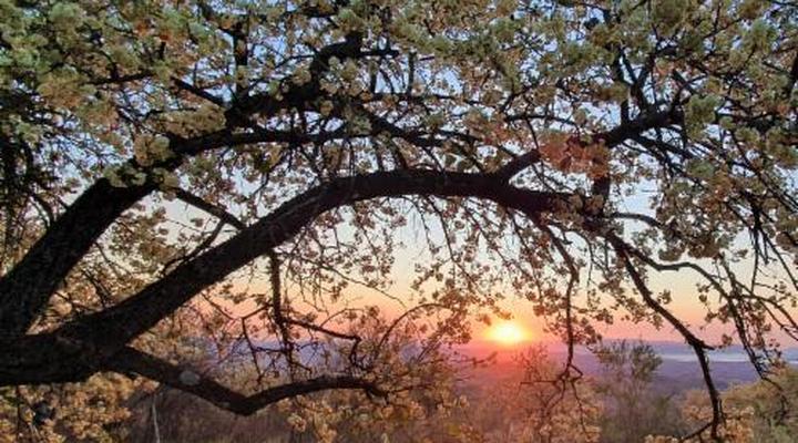 Wide Horizons Mountain Retreat