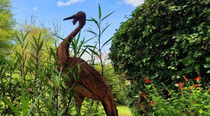 Wide Horizons Mountain Retreat