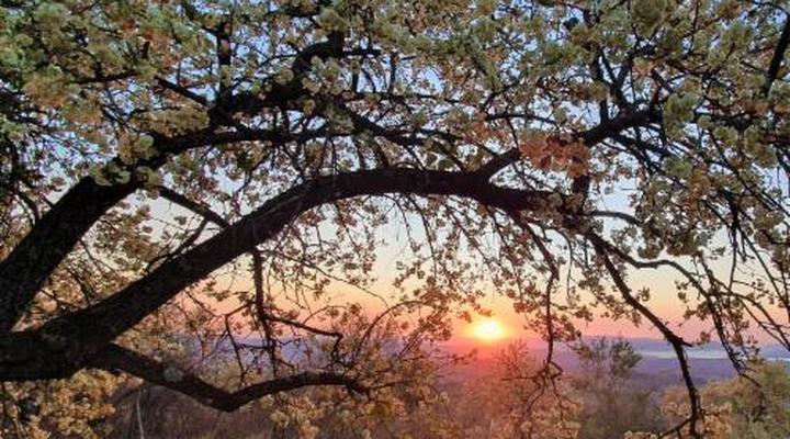 Wide Horizons Mountain Retreat