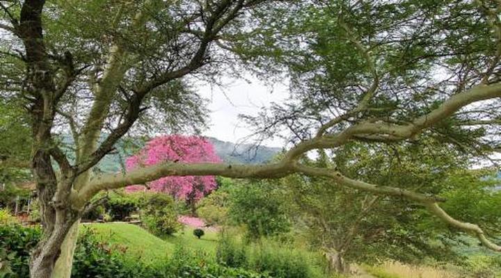 Wide Horizons Mountain Retreat