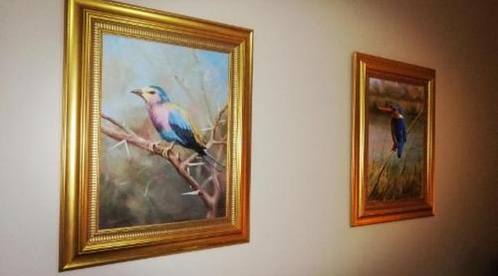 Shelanti Game Reserve