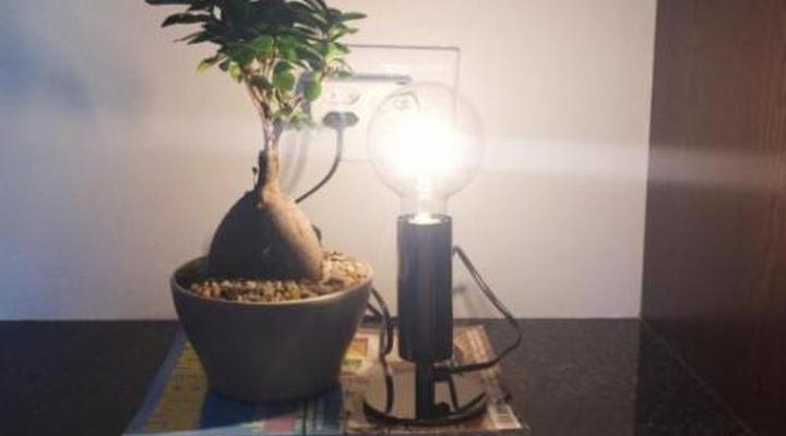 The Hedge Guesthouse