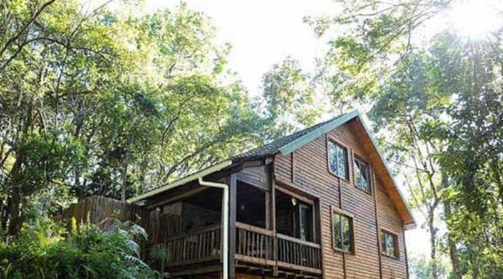 Forest Bird Lodge