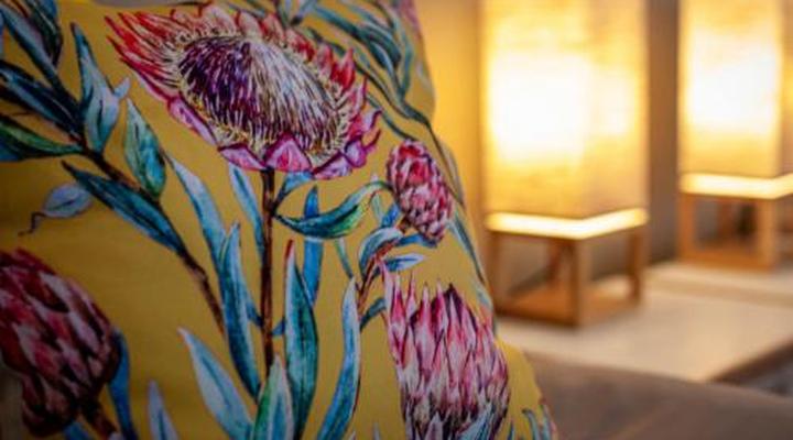 Kamieskroon Cosy Cottages