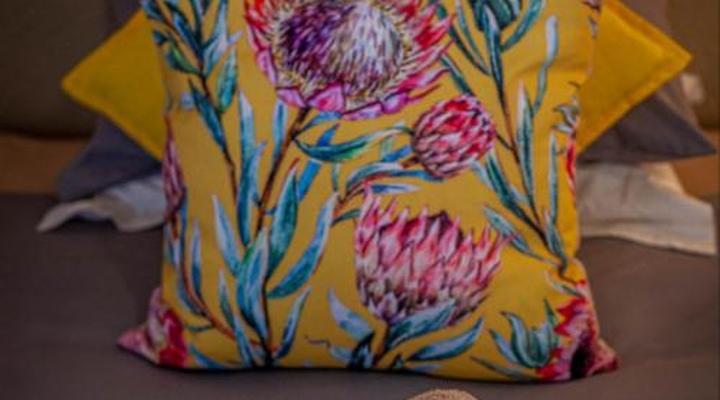 Kamieskroon Cosy Cottages