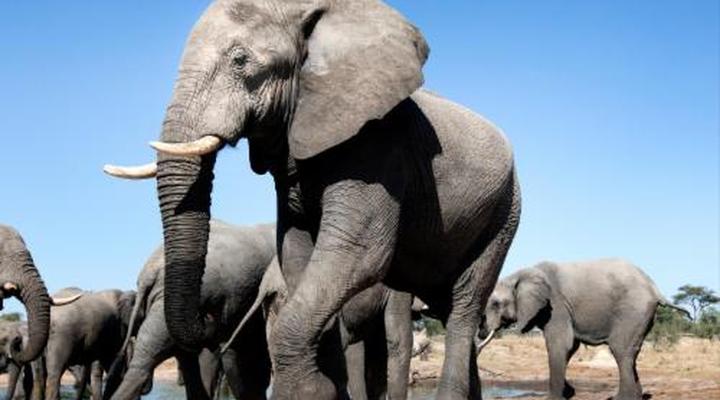 Gwango Heritage Resort