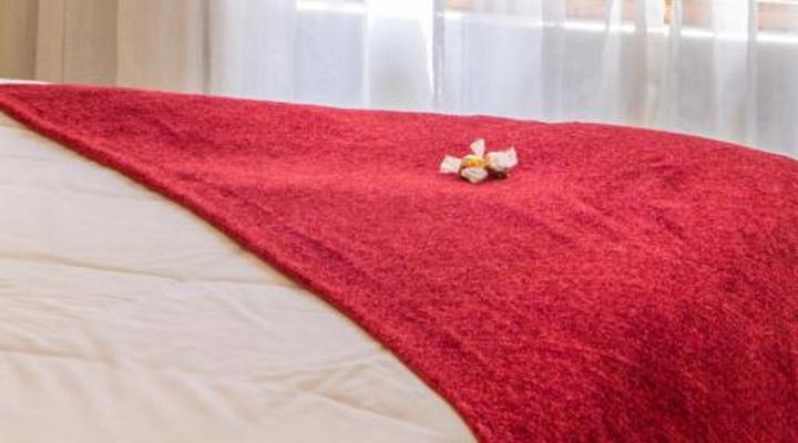 Lanherne Guest House 