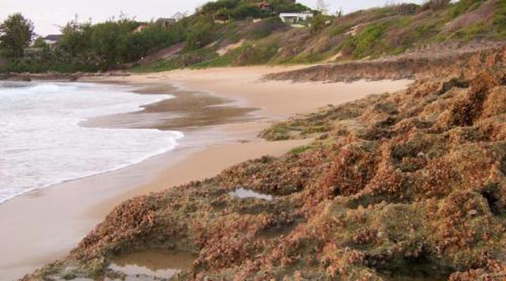 Tofinho Beach Cottages