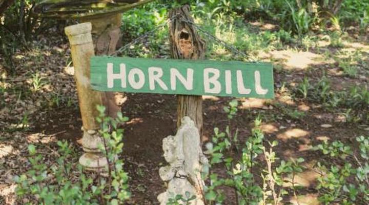 Woodlands Cottages & Camping