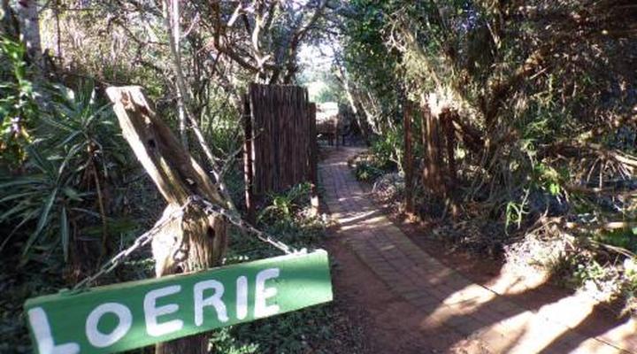 Woodlands Cottages & Camping