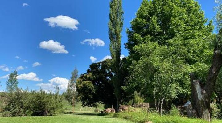 Khotso Lodge & Horse Trails