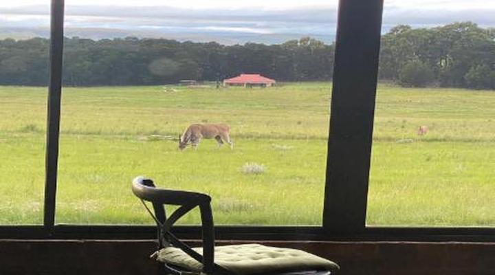 Angel's Rest Dullstroom Country Estate