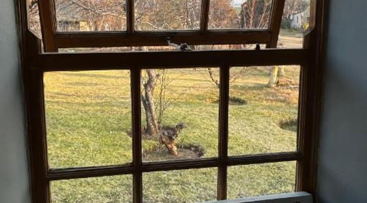 The Old Country House and Cottage