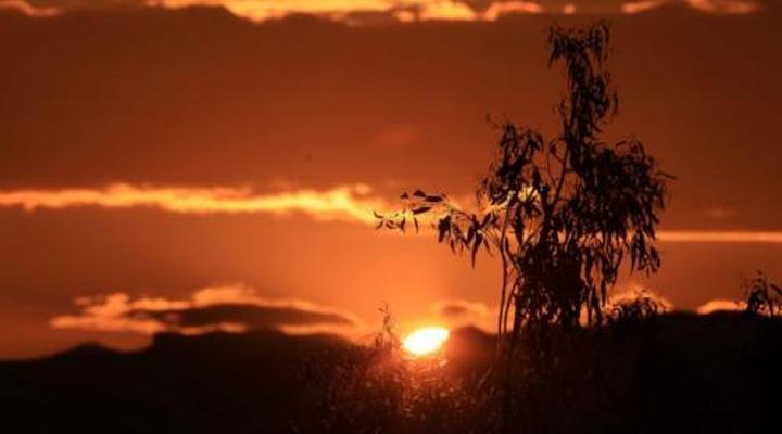 The Fat Mulberry Guest Farm