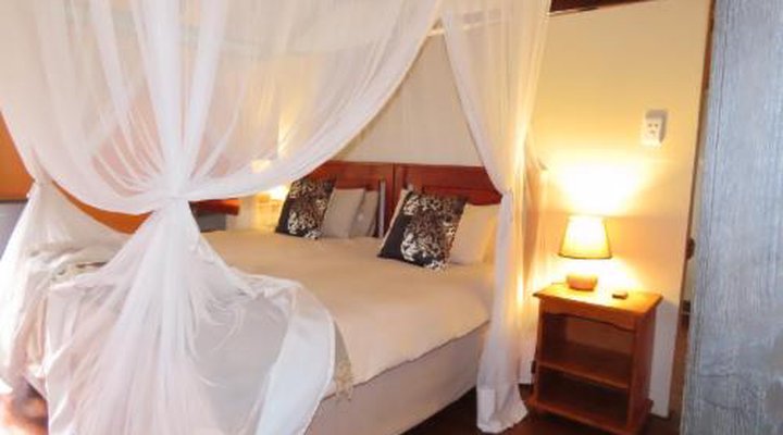 Lion Tree Top Lodge