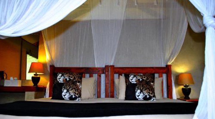 Lion Tree Top Lodge