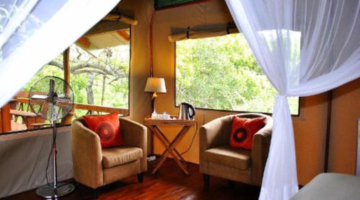 Lion Tree Top Lodge