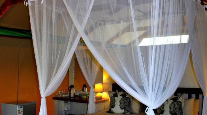 Lion Tree Top Lodge