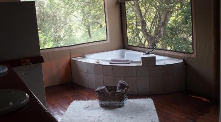 Lion Tree Top Lodge