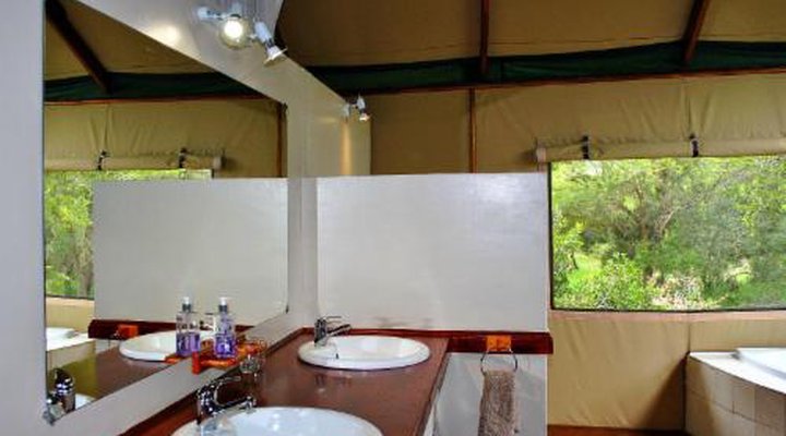 Lion Tree Top Lodge