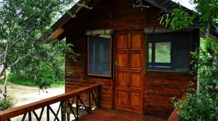 Lion Tree Top Lodge