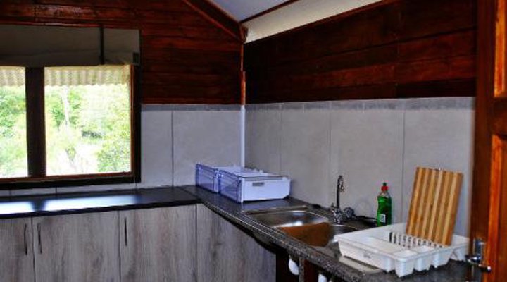 Lion Tree Top Lodge