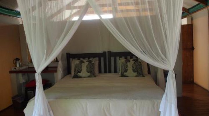 Lion Tree Top Lodge