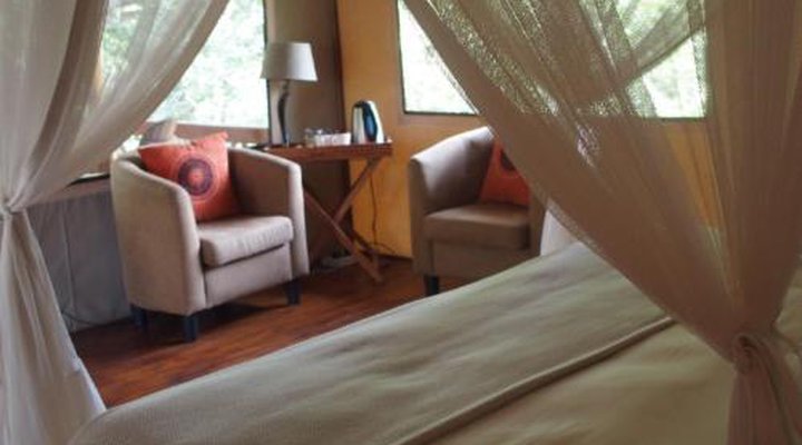 Lion Tree Top Lodge
