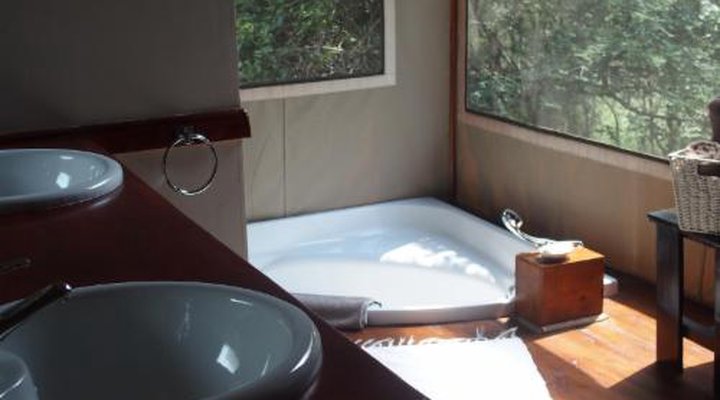 Lion Tree Top Lodge