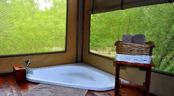 Lion Tree Top Lodge