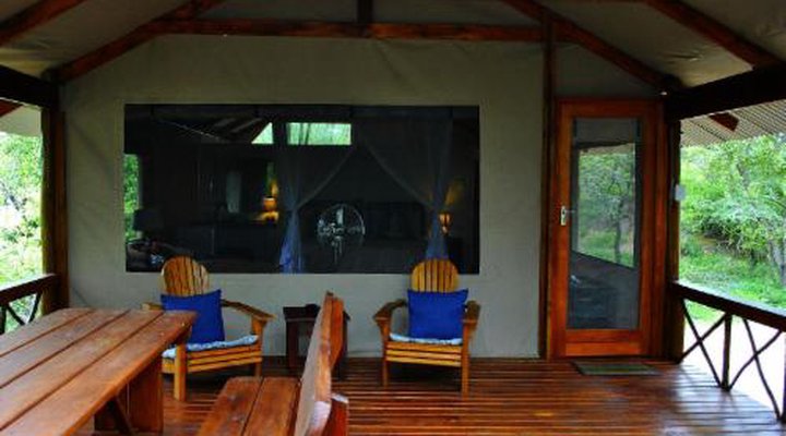 Lion Tree Top Lodge