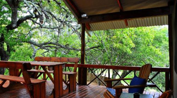 Lion Tree Top Lodge
