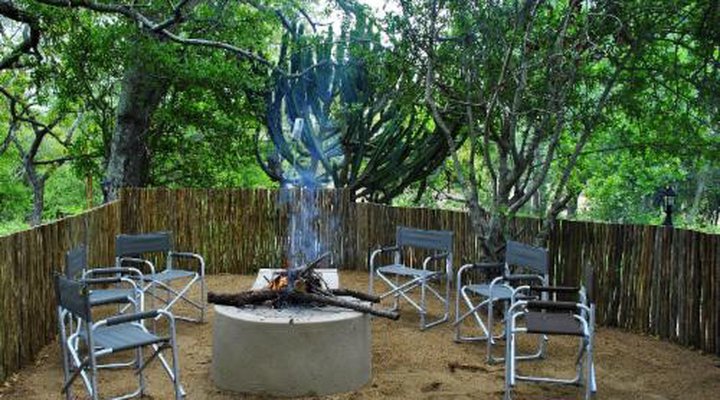 Lion Tree Top Lodge