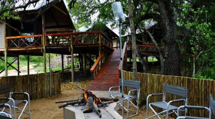 Lion Tree Top Lodge