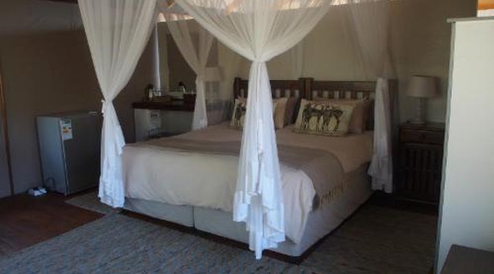 Lion Tree Top Lodge