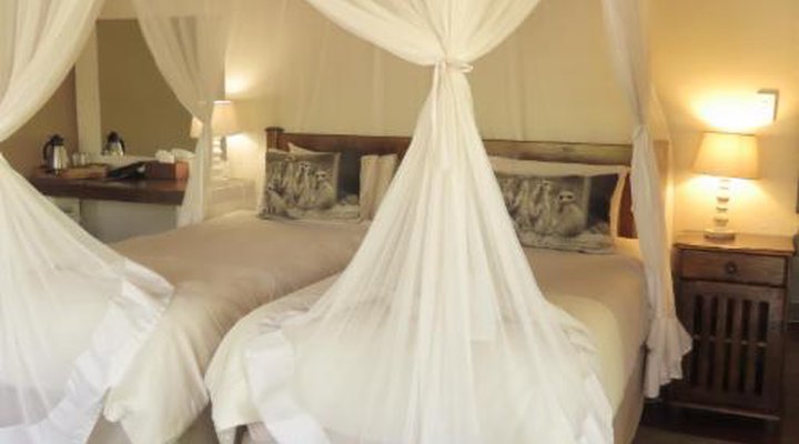Lion Tree Top Lodge