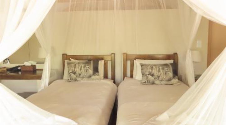 Lion Tree Top Lodge