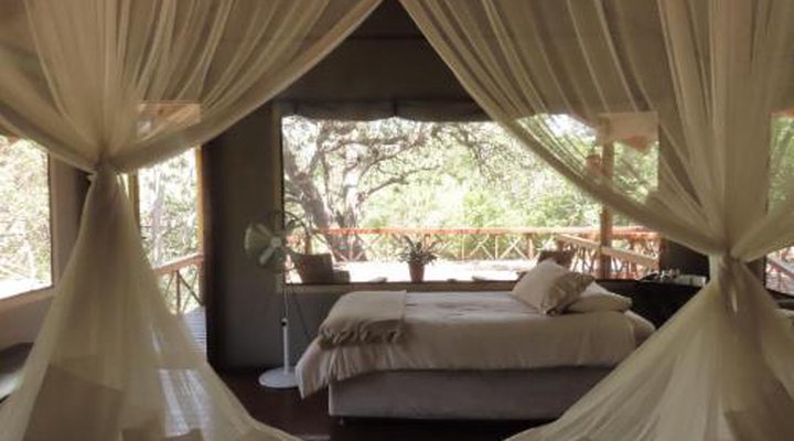 Lion Tree Top Lodge