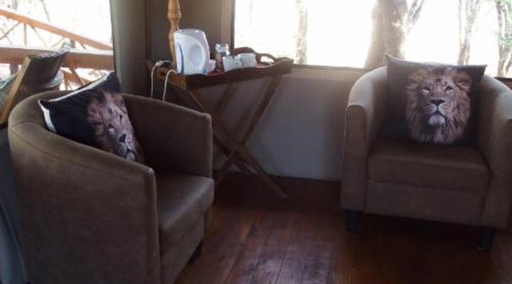 Lion Tree Top Lodge