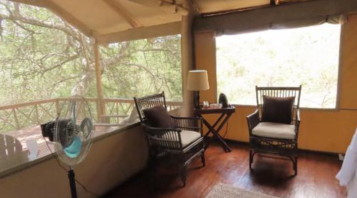 Lion Tree Top Lodge