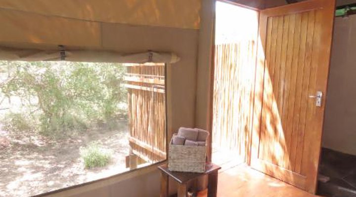 Lion Tree Top Lodge