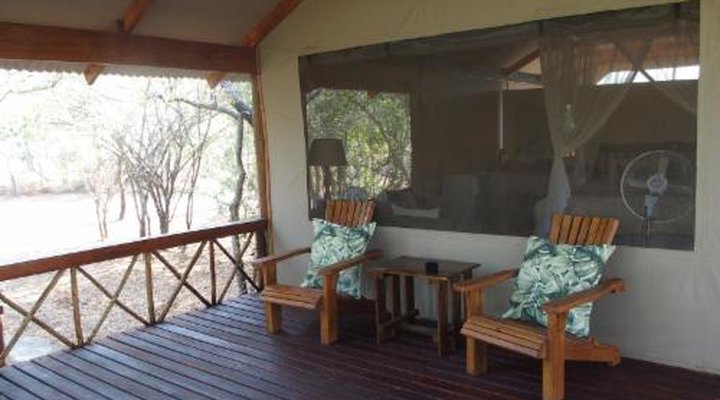 Lion Tree Top Lodge