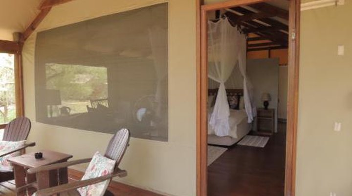 Lion Tree Top Lodge