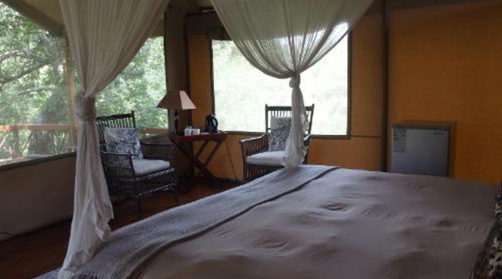 Lion Tree Top Lodge