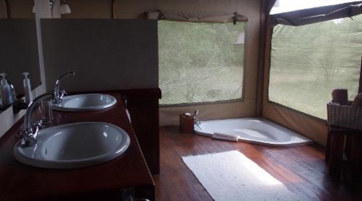 Lion Tree Top Lodge
