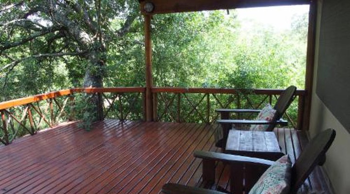 Lion Tree Top Lodge